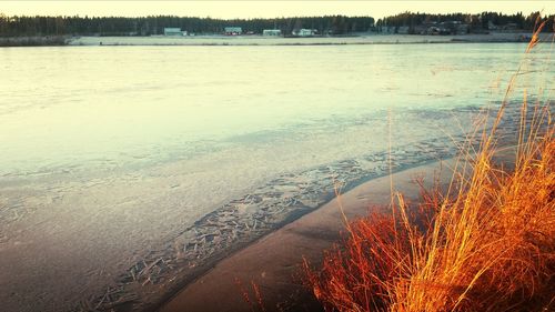 Scenic view of sea at sunset