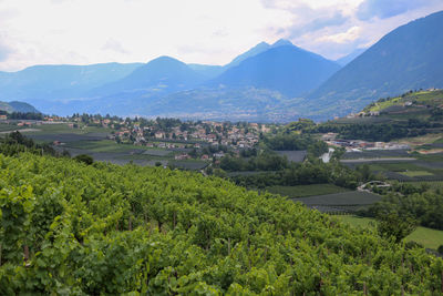 Scenic view of agricultural field by mountains against sky