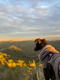 Close-up of dog against sky during sunset