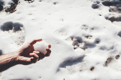 Cropped hand holding snowball