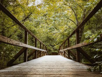 Footbridge amidst trees in forest