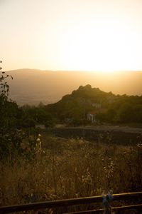 Scenic view of field against clear sky during sunset