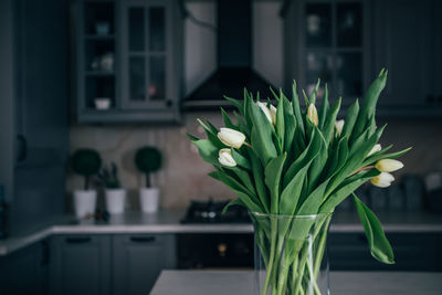 Close-up of potted plant at home