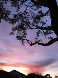 Low angle view of silhouette tree against sky