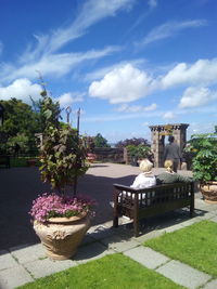 Potted plants by houses against sky