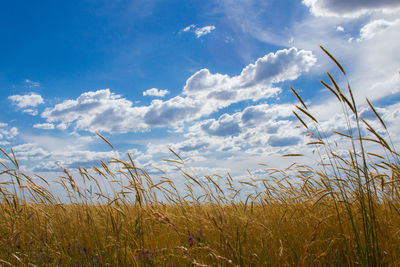 View of field against cloudy sky