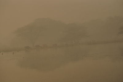 mist