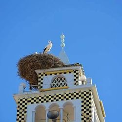 Low angle view of statue against blue sky