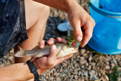 Male hands remove the caught crucian carp from the hook. blurred background of pebble beach. 
