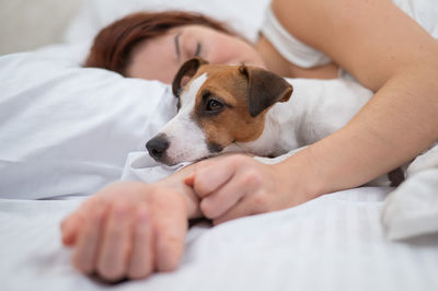 Cropped hand of woman holding dog