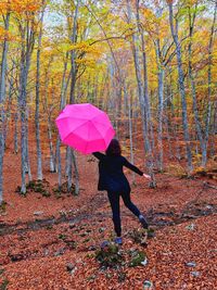 umbrella