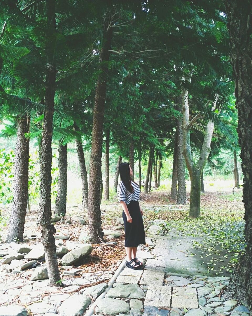 tree, full length, lifestyles, rear view, standing, casual clothing, leisure activity, forest, tree trunk, growth, walking, nature, person, young adult, outdoors, tranquility, branch, day