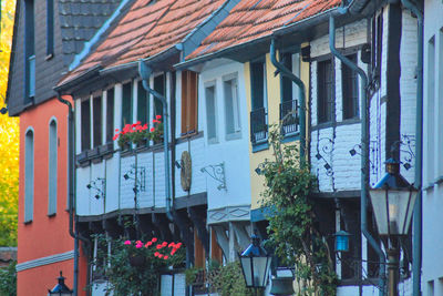 Low angle view of potted plants hanging on building