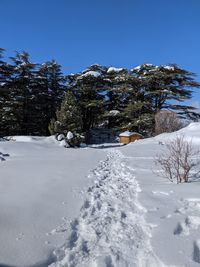 Snow covered field against clear blue sky