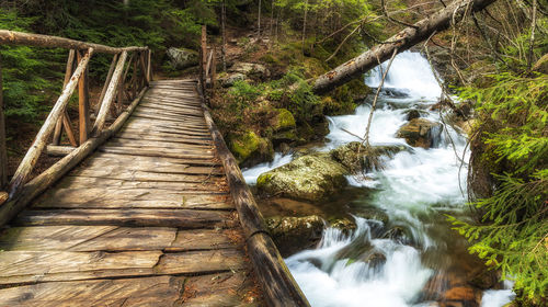 Wooden footbridge over river in forest