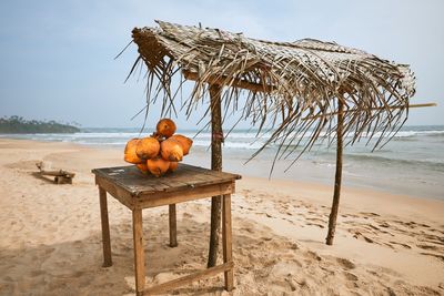 Coconuts on table at beach