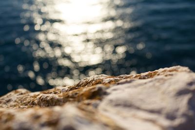 Close-up of rocks at shore