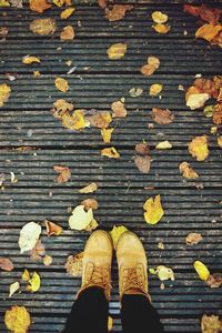 Low section of person standing with autumn leaves on footpath