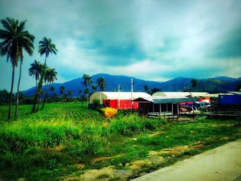 Scenic view of landscape against cloudy sky