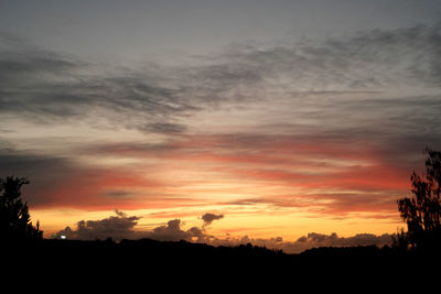 Silhouette trees against sky during sunset