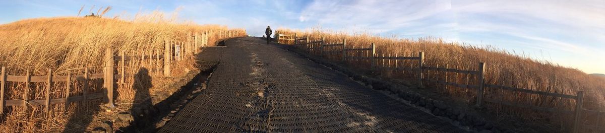 Panoramic view of wheat field against sky