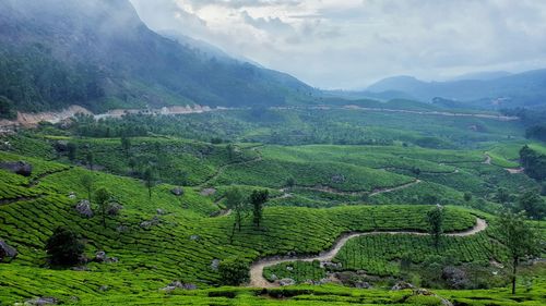 Scenic view of agricultural landscape against sky