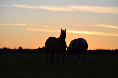 Silhouette horse on field against sky during sunset