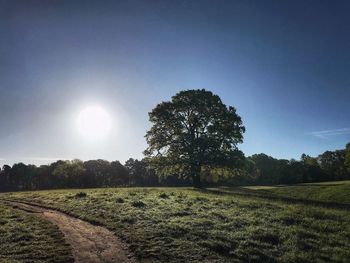 Scenic view of field against clear sky