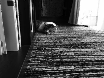 High angle view of cat sleeping on rug by bookshelf at home