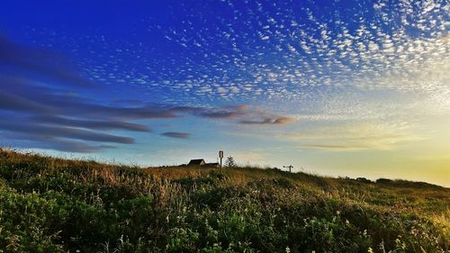 Scenic view of grassy field against cloudy sky