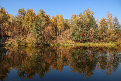 Reflection of trees on lake during autumn