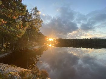 Scenic view of trees against sky during sunset