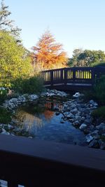 Scenic view of river with trees in background
