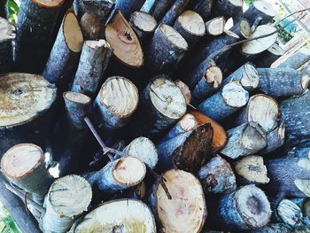 Full frame shot of logs in forest