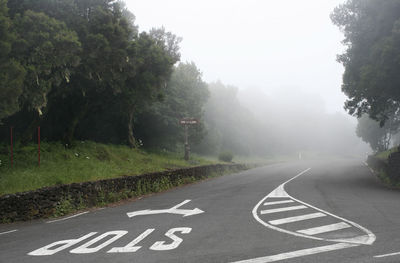 Road by trees on foggy weather