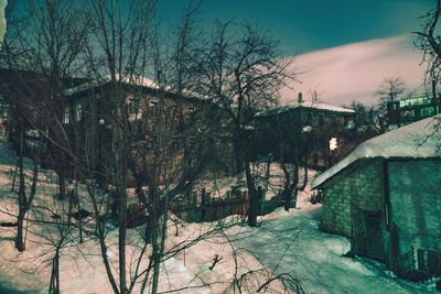 Trees and houses against sky during winter