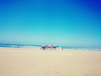 People on beach against clear blue sky