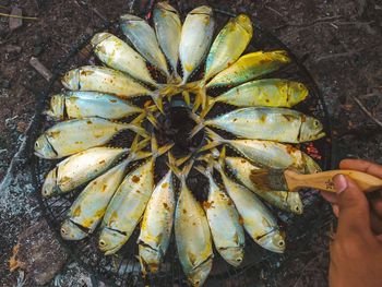 High angle view of person preparing food