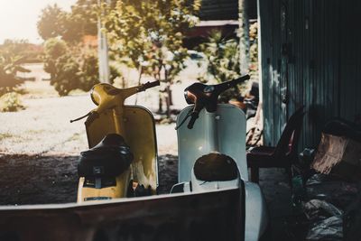 Plants and motor scooter in city