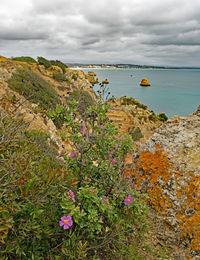 Scenic view of sea against cloudy sky