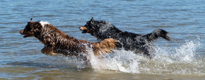 Cool down for the  boys