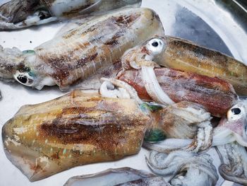 High angle view of fish for sale in market