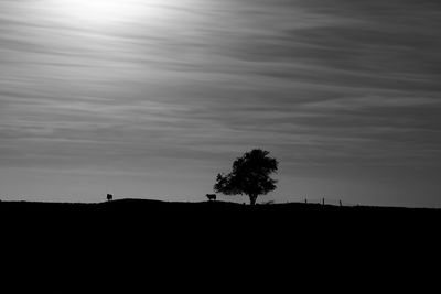 Silhouette trees on field against sky at dusk