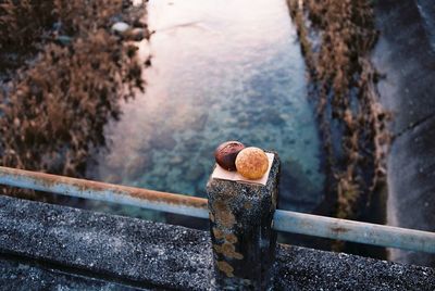 Breads on concrete pole of bridge over river