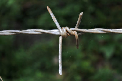 Close-up of barbed wire on fence