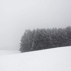 Trees on snow covered field against sky