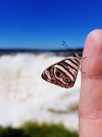 Close-up of butterfly on hand against waterfall