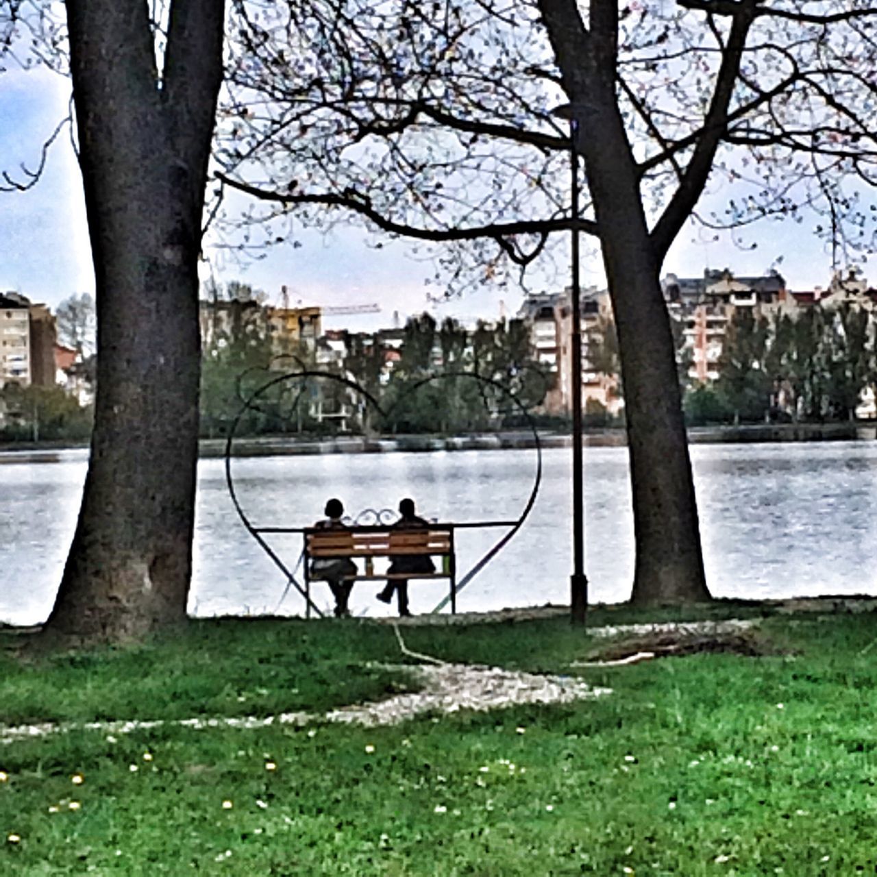 tree, sitting, bench, leisure activity, lifestyles, relaxation, rear view, men, lake, tree trunk, water, person, river, city, park - man made space, grass, building exterior, built structure