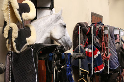 High angle view of people riding horse