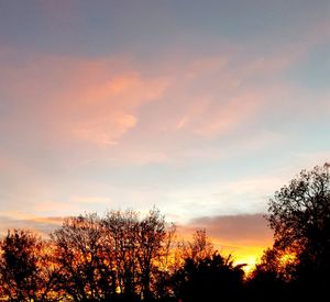 Silhouette trees against sky at sunset